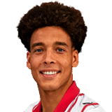 Witsel