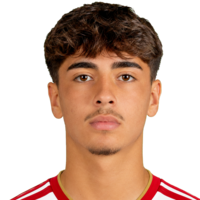 Nico Guillén