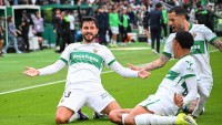 Buscamos colaborador para el Elche y Espanyol ¿te animas?
